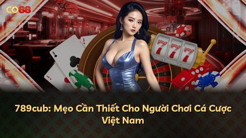 789cub: Mẹo Cần Thiết Cho Người Chơi Cá Cược Việt Nam