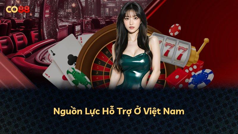 Nguồn Lực Hỗ Trợ Ở Việt Nam
