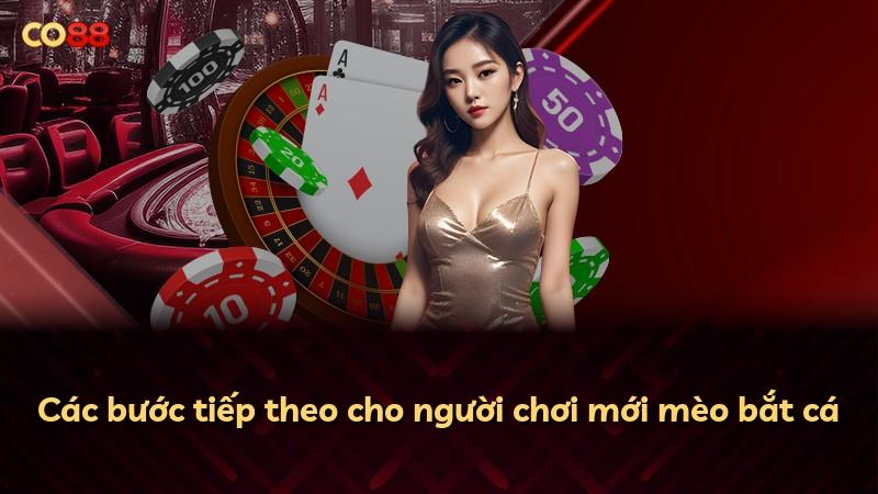 Các bước tiếp theo cho người chơi mới mèo bắt cá