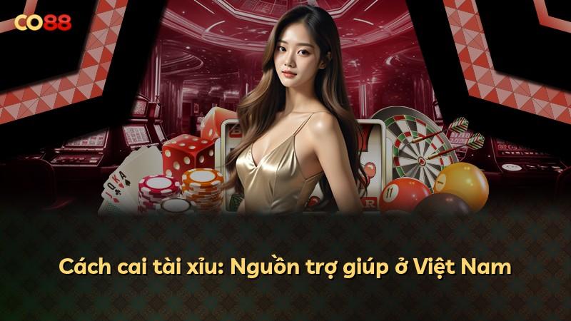 Cách cai tài xỉu: Nguồn trợ giúp ở Việt Nam