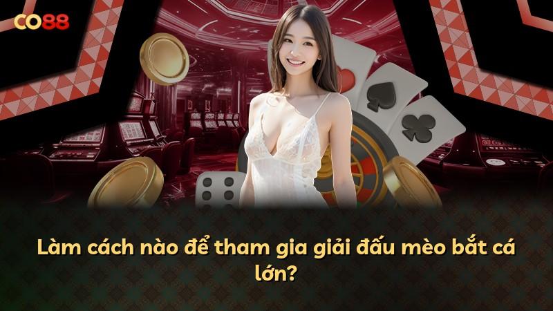 Làm cách nào để tham gia giải đấu mèo bắt cá lớn?
