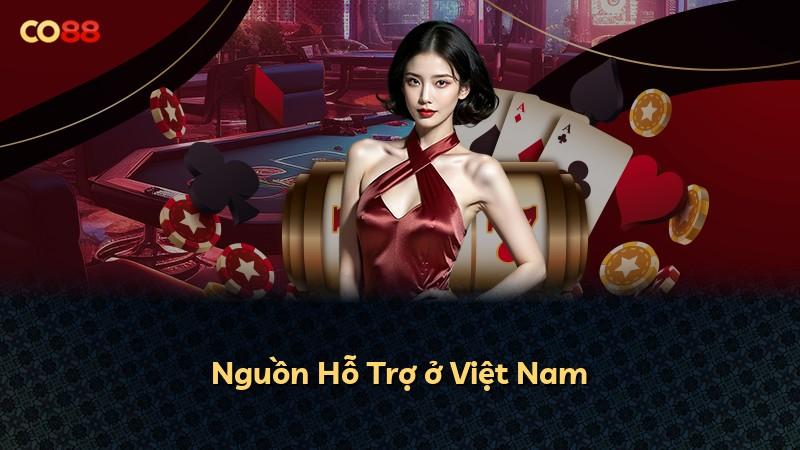 Nguồn Hỗ Trợ ở Việt Nam